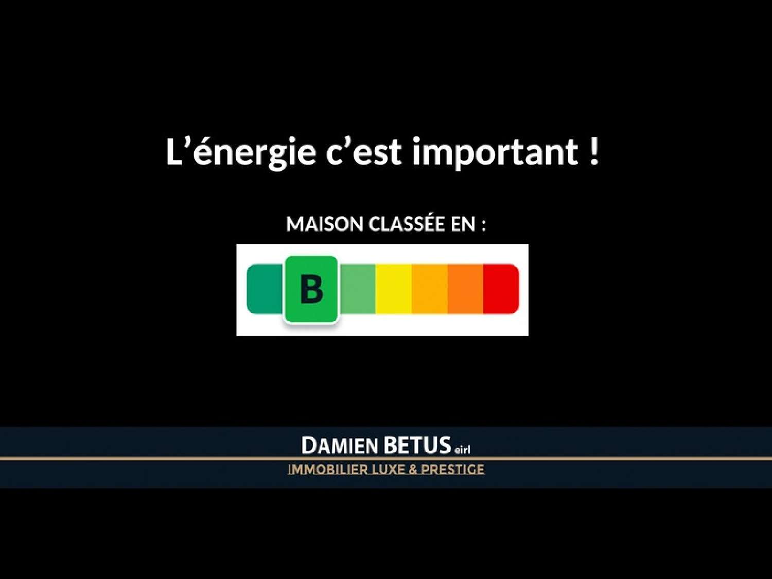  te koop huis Saint-Hilaire-de-Riez Vendée 5