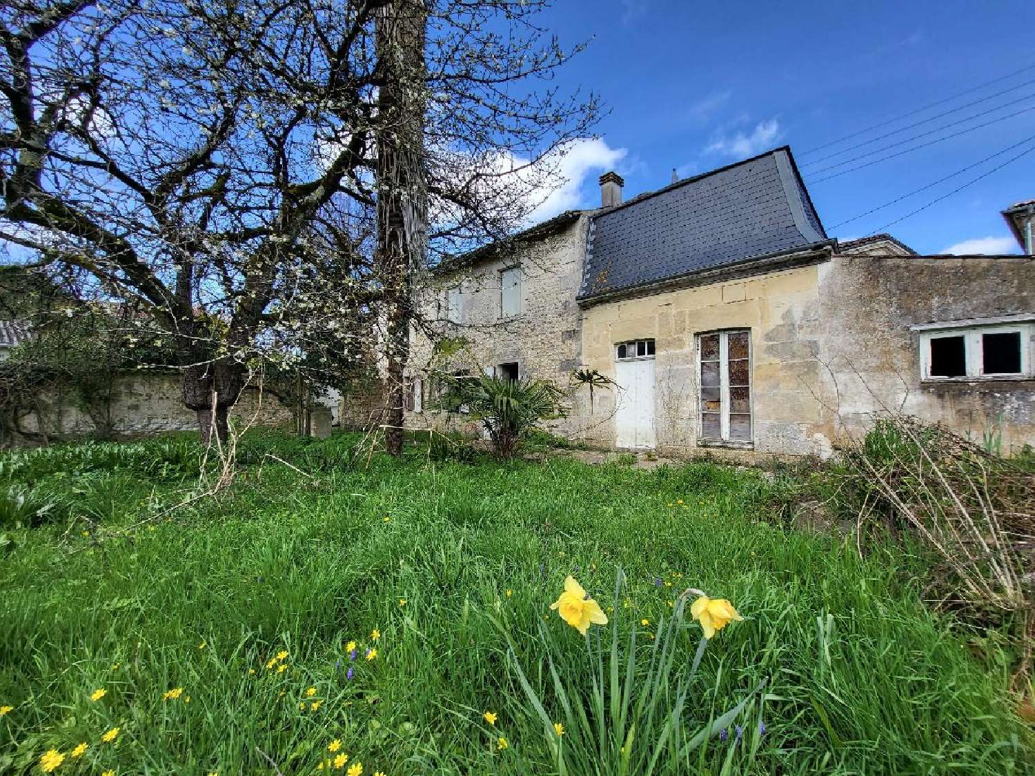  for sale house Saint-Jean-d'Angély Charente-Maritime 3
