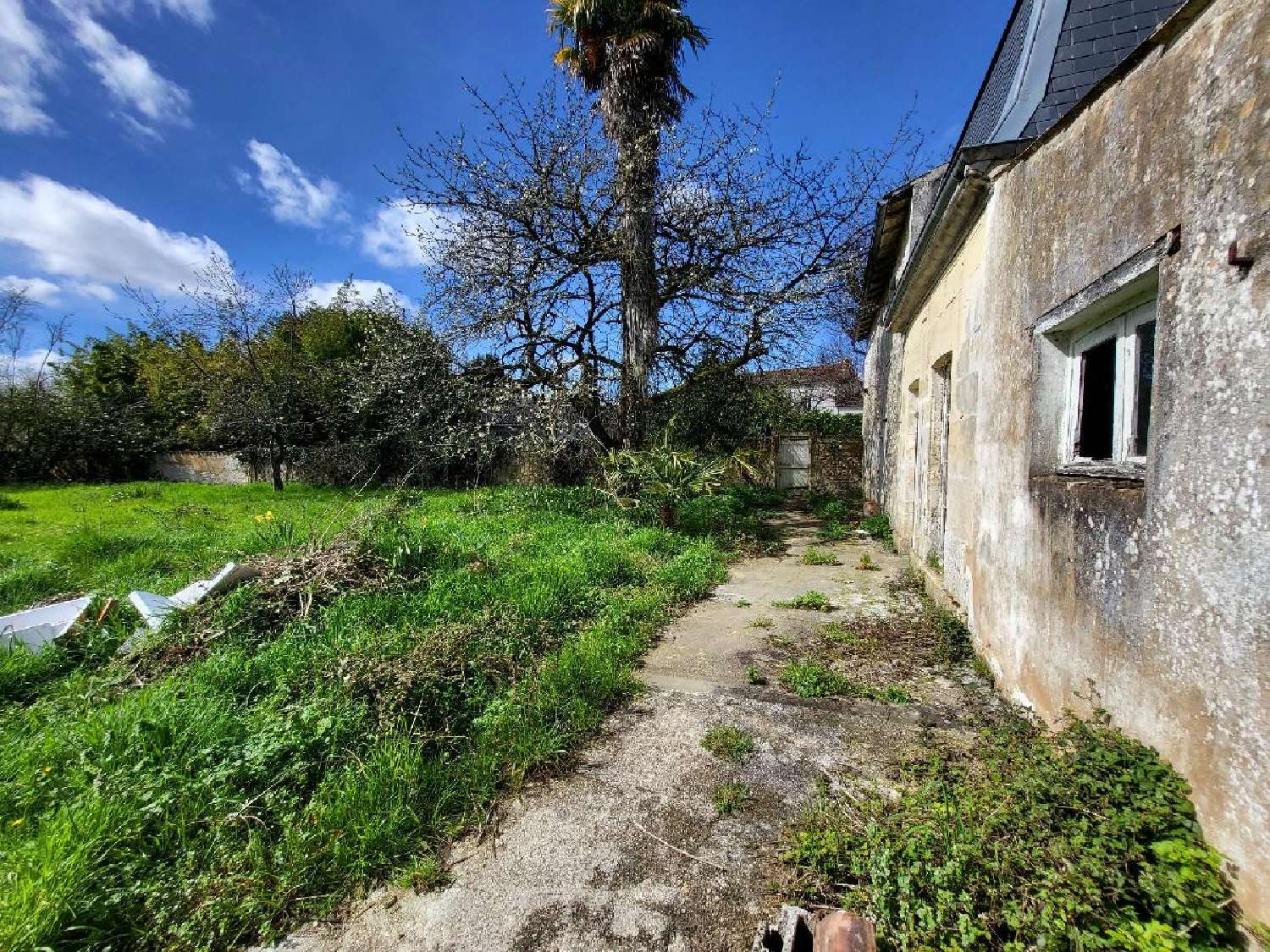  for sale house Saint-Jean-d'Angély Charente-Maritime 5