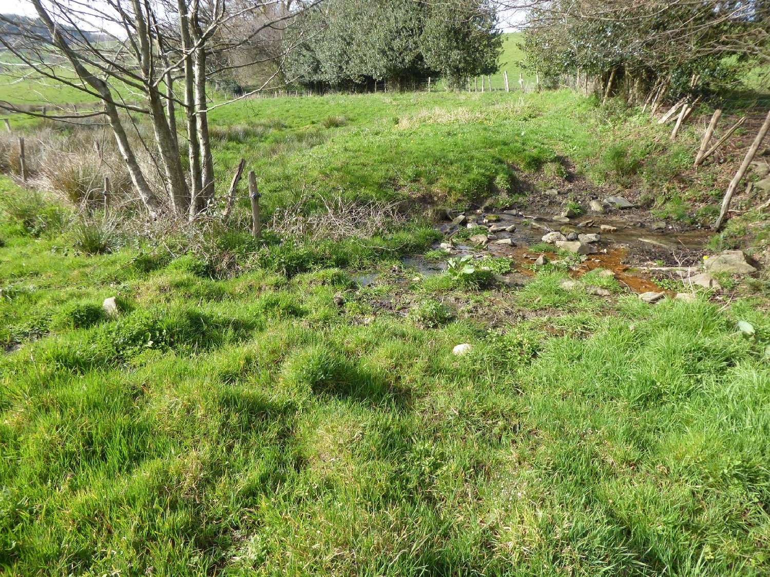  kaufen Haus Saint-Jean-Lespinasse Lot 8