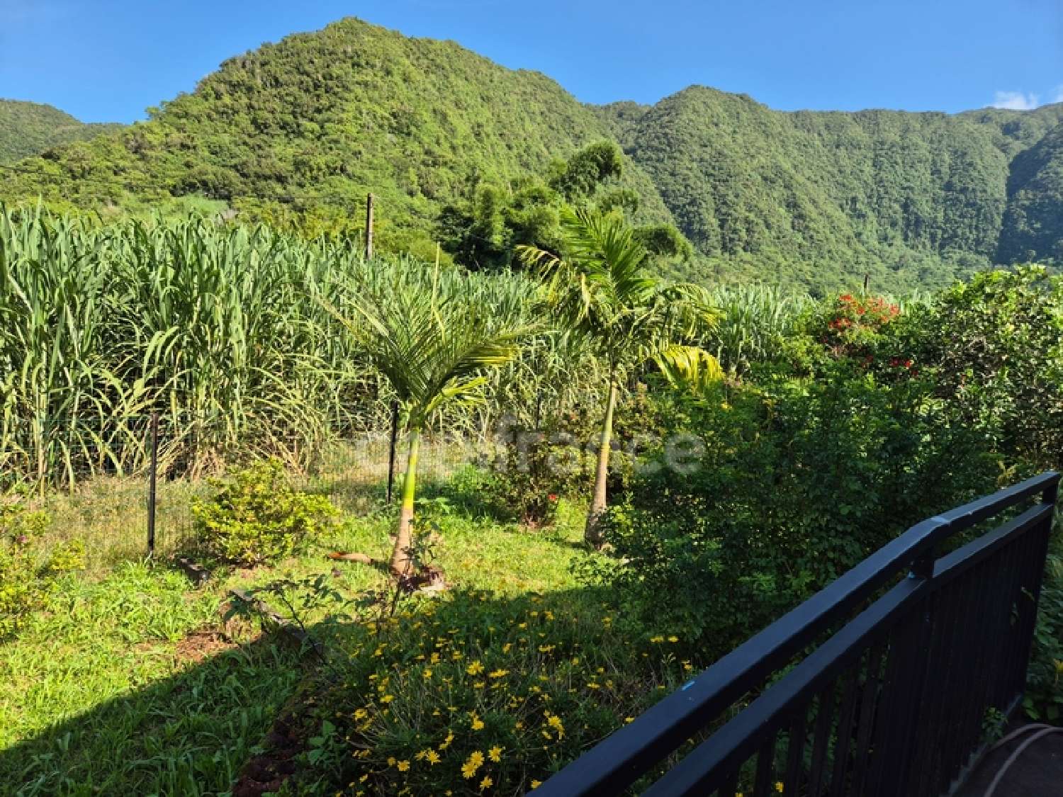  à vendre maison Saint-Joseph La Réunion 1