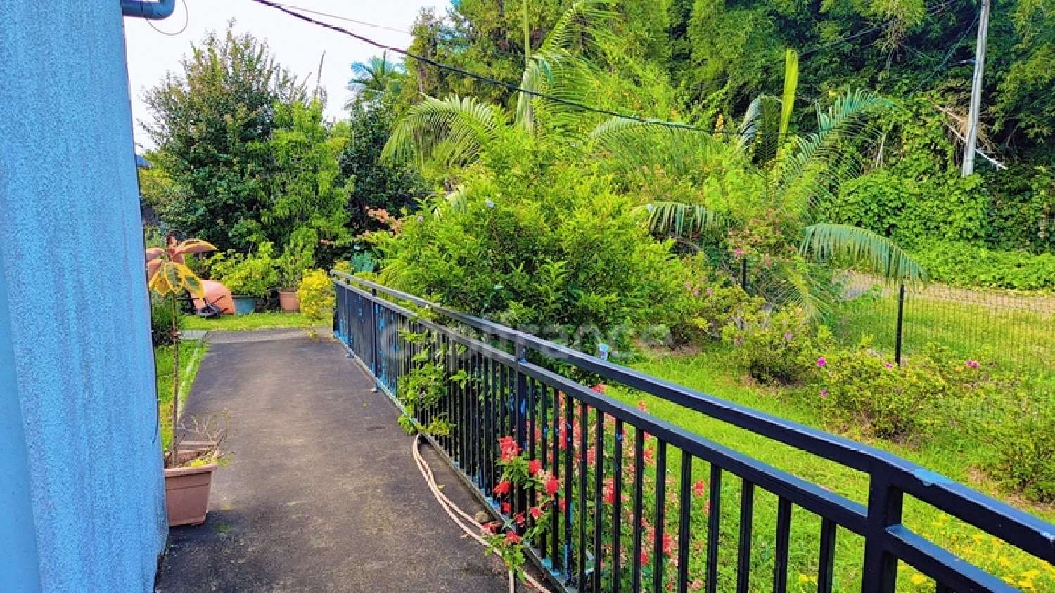  à vendre maison Saint-Joseph La Réunion 5