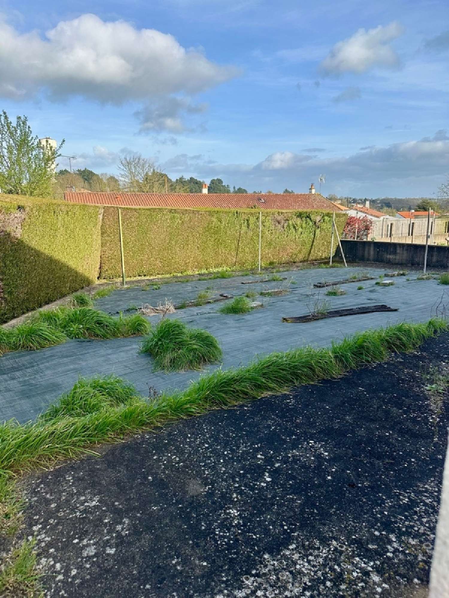  te koop huis Saint-Laurent-sur-Sèvre Vendée 8