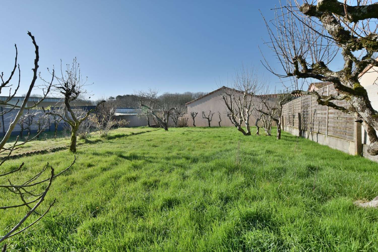  for sale house Saint-Léger-sous-Cholet Maine-et-Loire 2