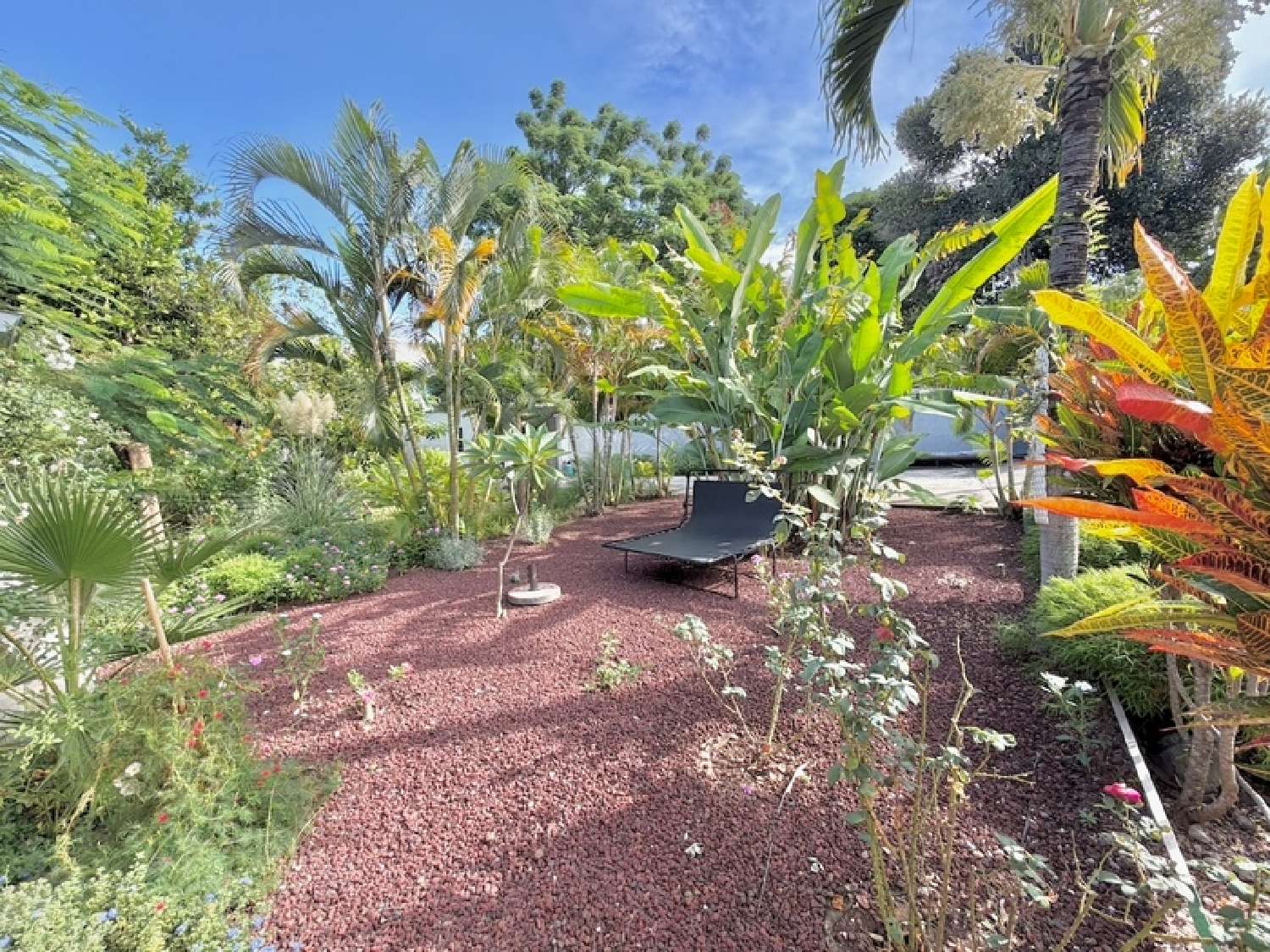  for sale house Saint-Louis La Réunion 3