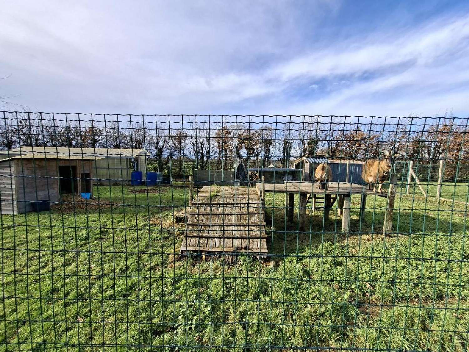  kaufen Haus Saint-Lyphard Loire-Atlantique 3