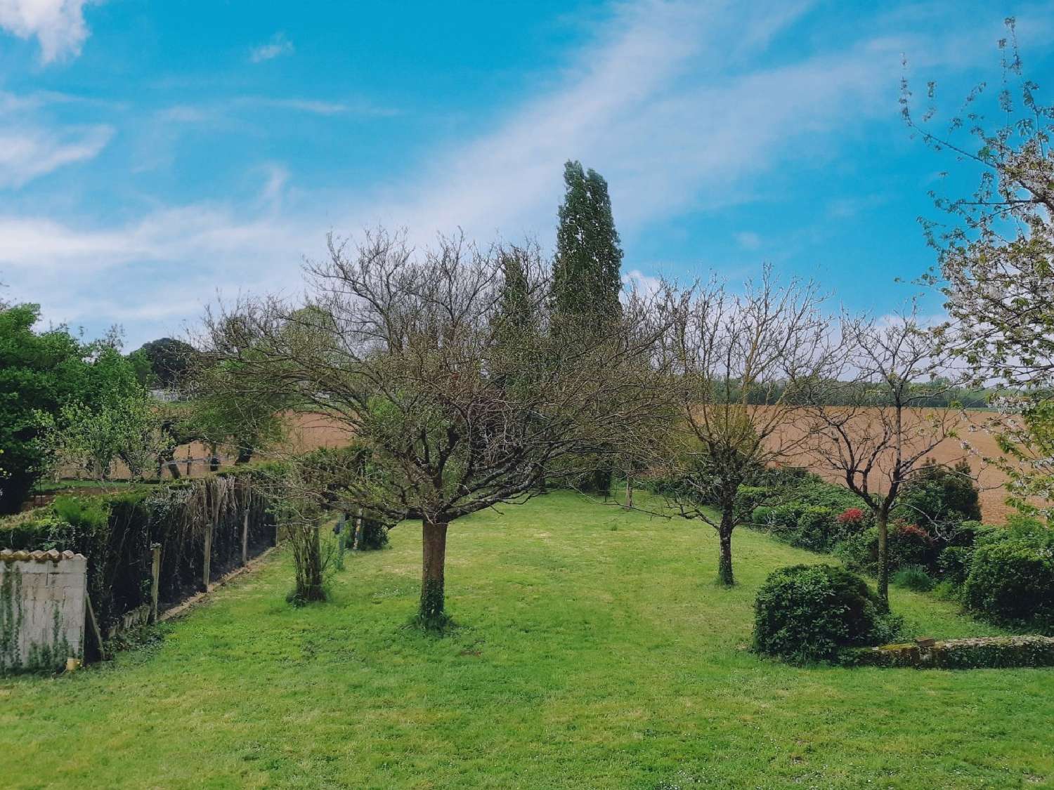  te koop huis Saint-Martin-du-Clocher Charente 2