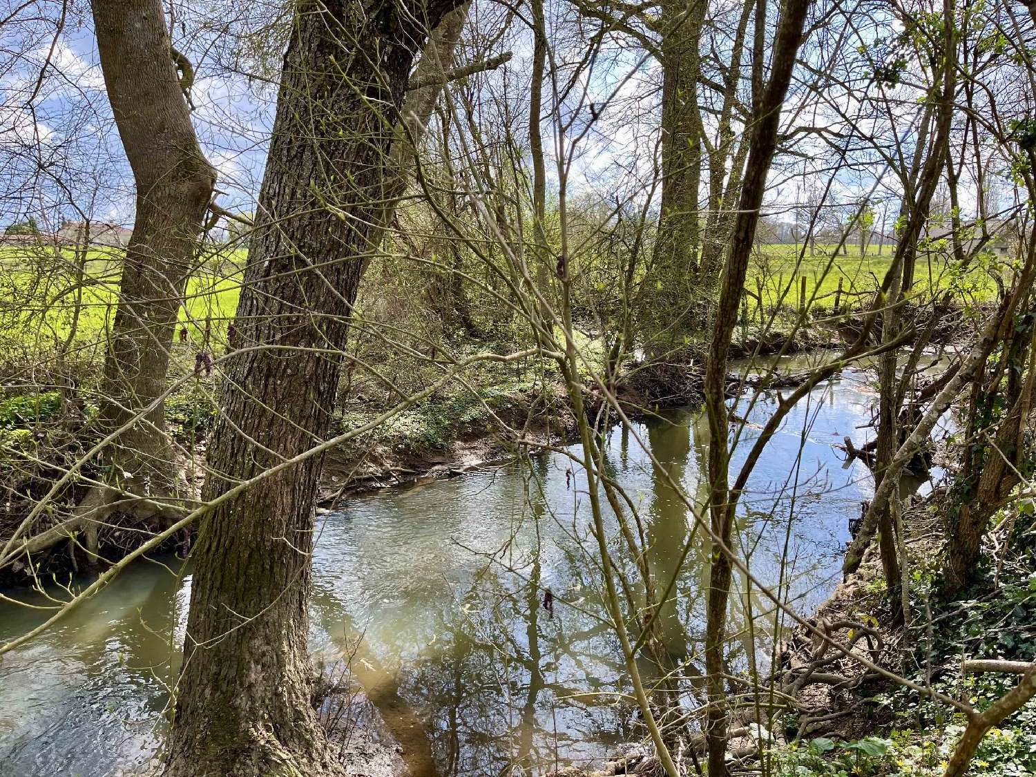 kaufen Haus Saint-Martin-l'Ars Vienne 3