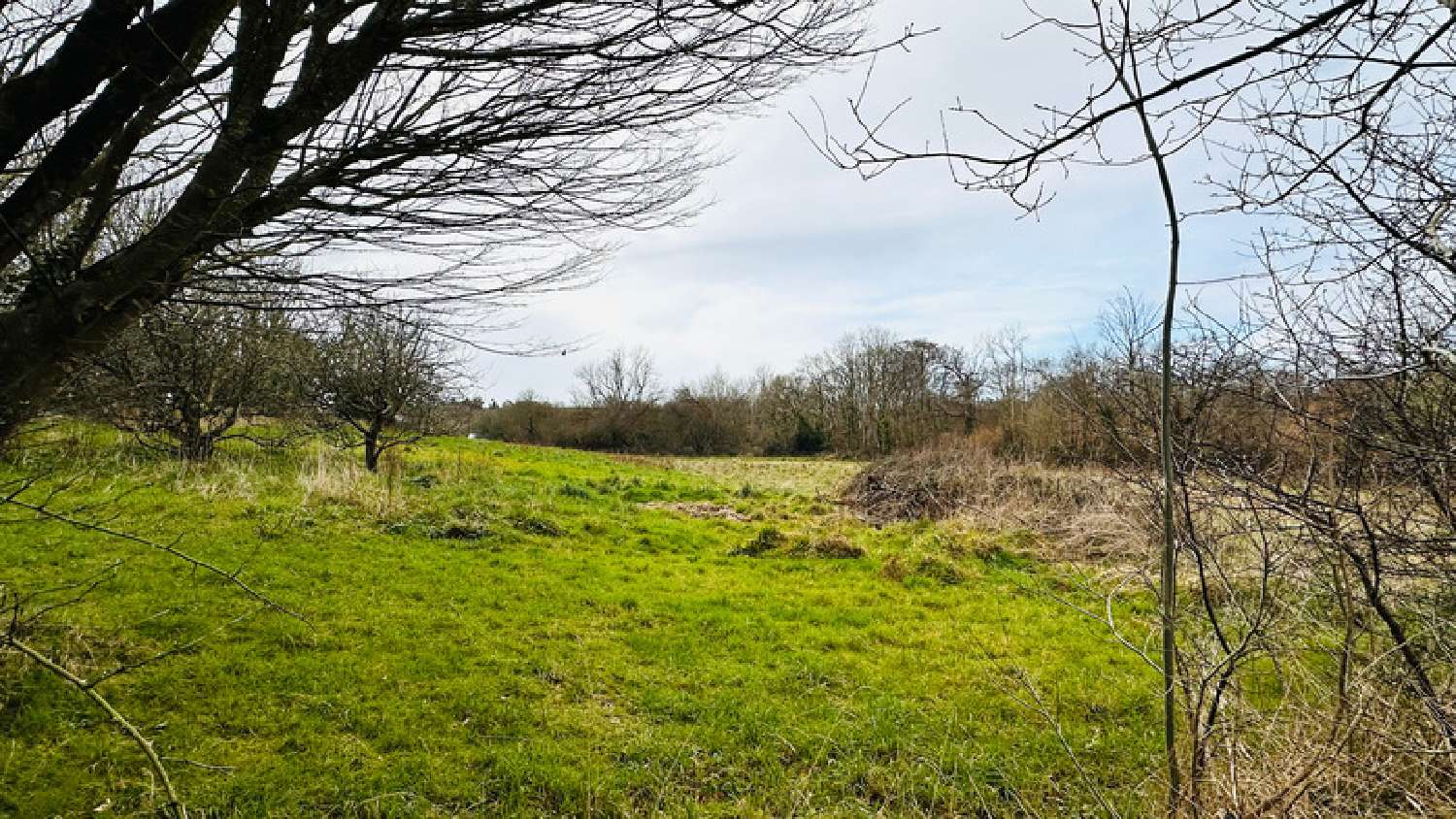 te koop huis Saint-Nic Finistère 5