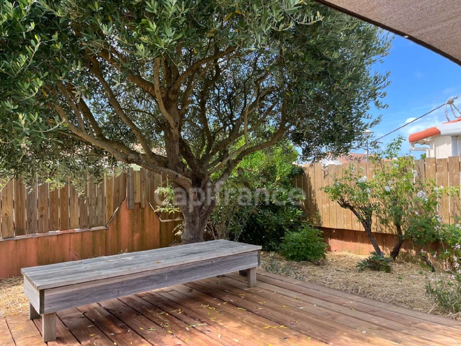 kaufen Haus Saint-Nicolas-de-Brem Vendée 5