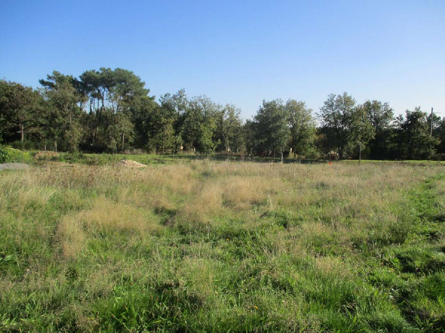  en venta casa Saint-Nicolas-de-Brem Vendée 4