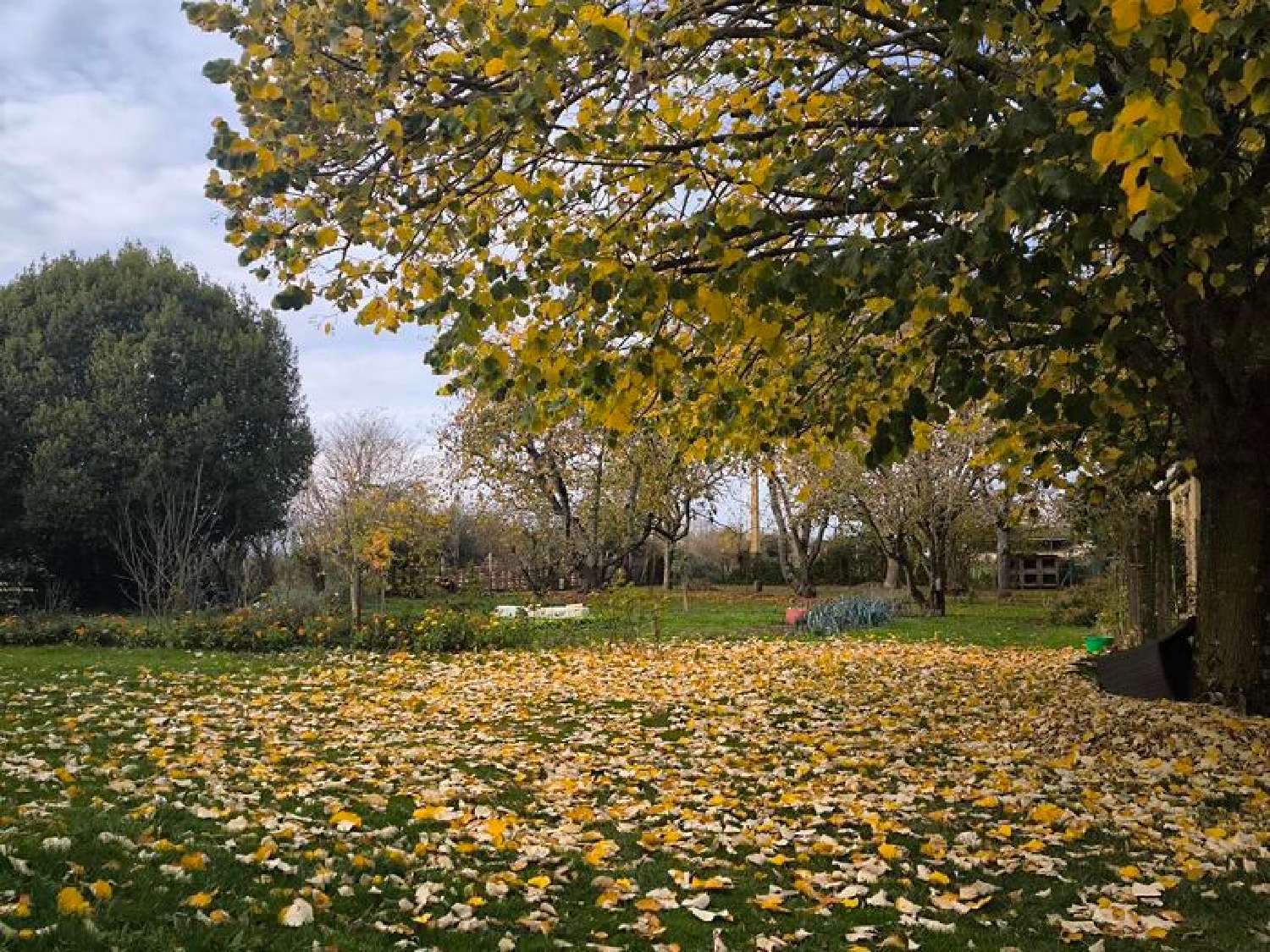  kaufen Haus Saint-Ouen-de-Mimbré Sarthe 3