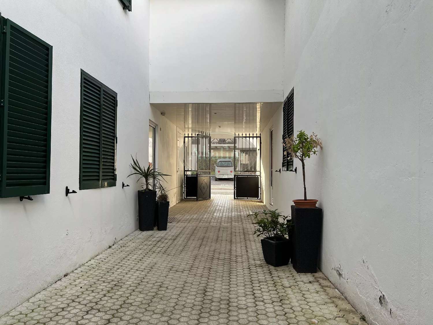 à vendre maison Saint-Palais Pyrénées-Atlantiques 2