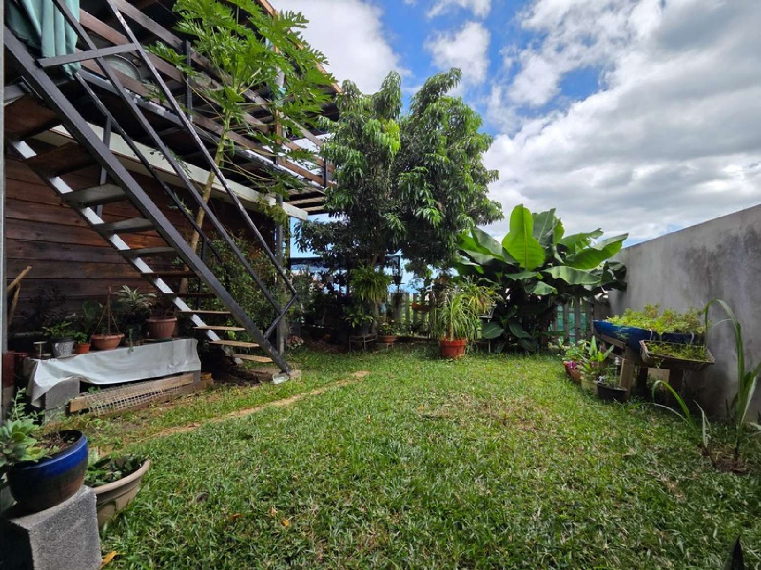 te koop huis Saint-Paul La Réunion 3