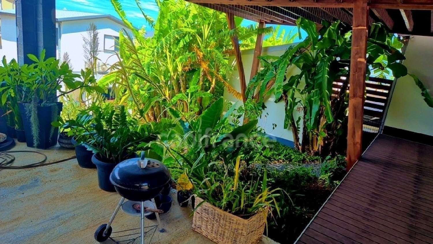 en venta casa Saint-Pierre La Réunion 6