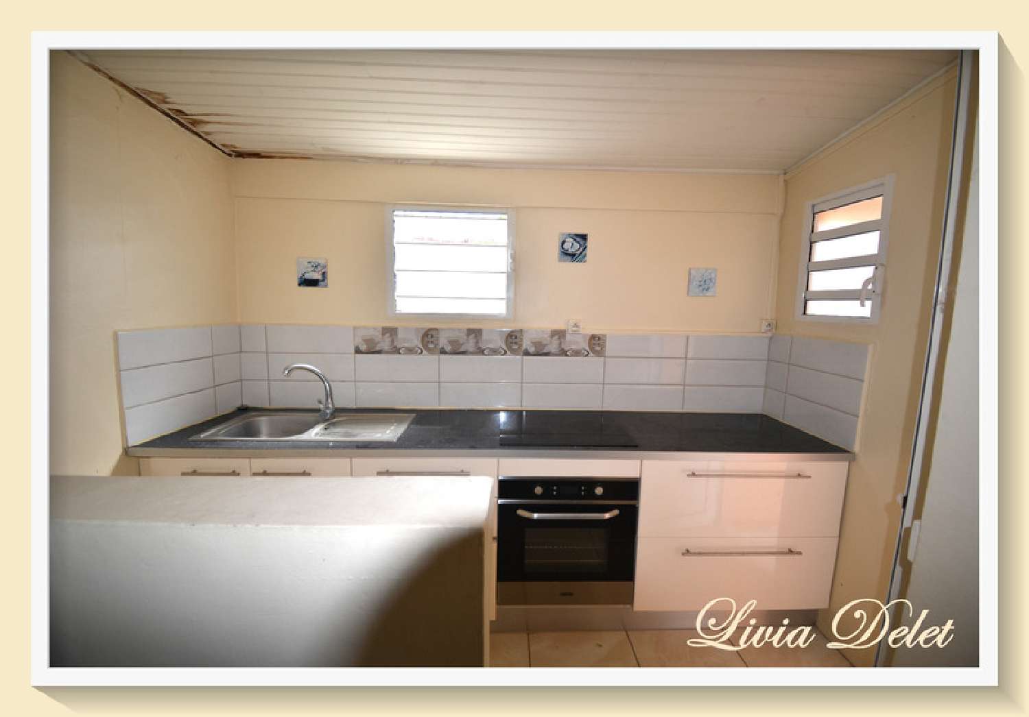 te koop huis Saint-Pierre Martinique 3