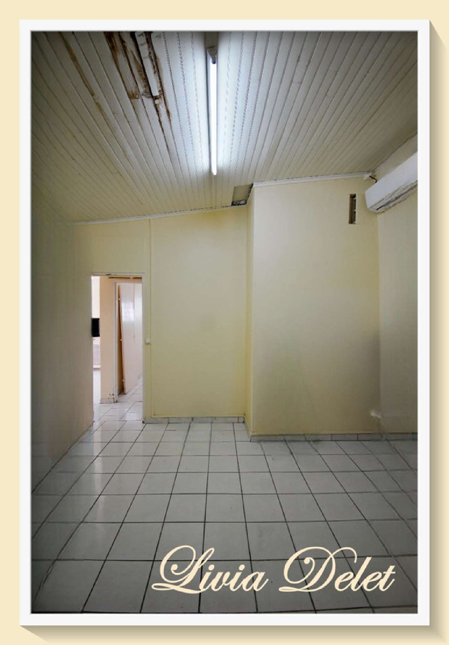 te koop huis Saint-Pierre Martinique 7