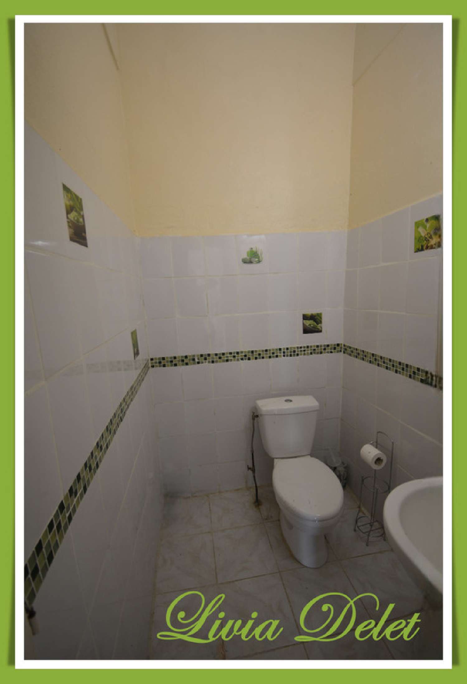 te koop huis Saint-Pierre Martinique 8