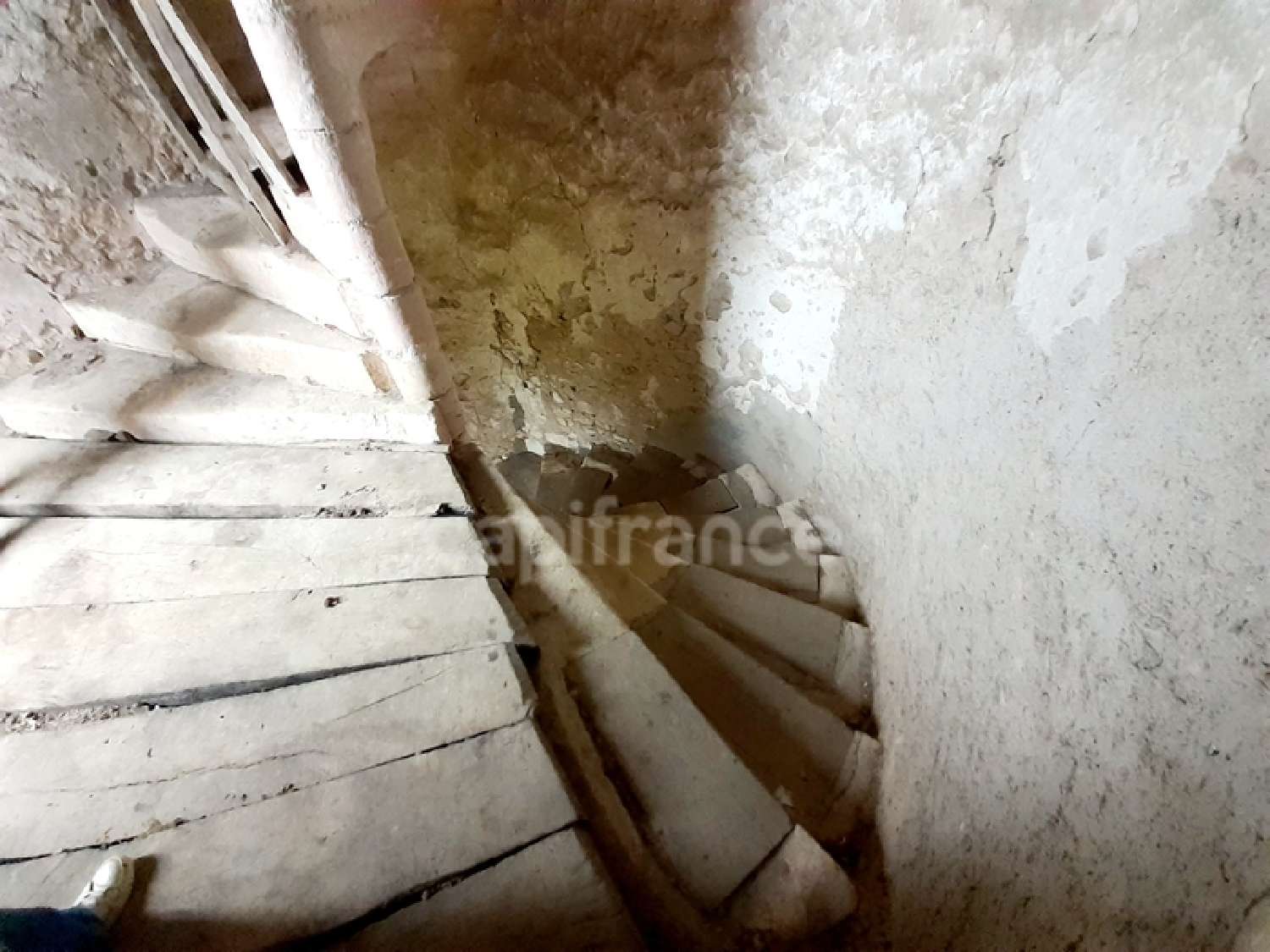 kaufen Haus Saint-Pierre-de-Maillé Vienne 7