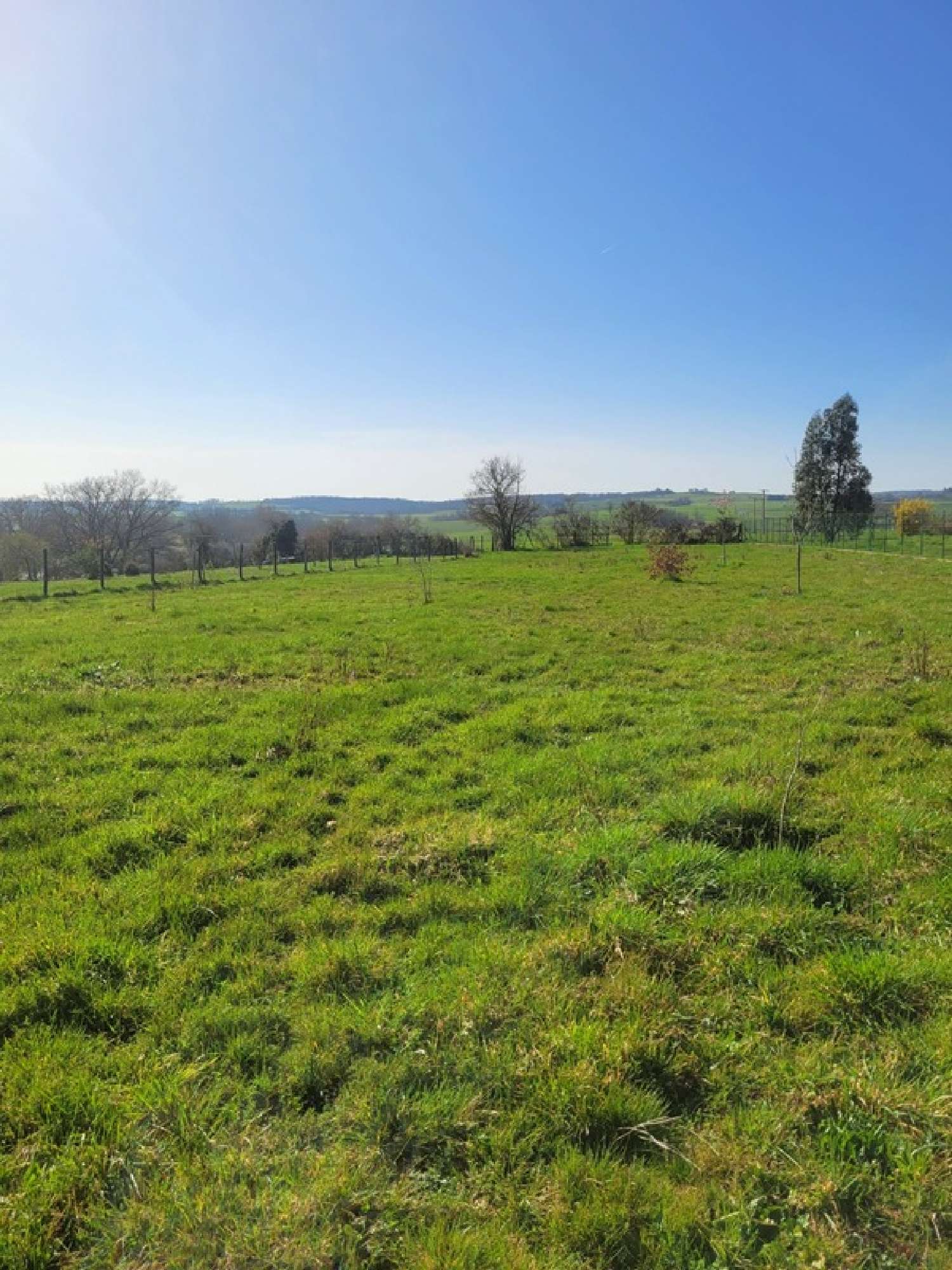  for sale house Saint-Quintin-sur-Sioule Puy-de-Dôme 5