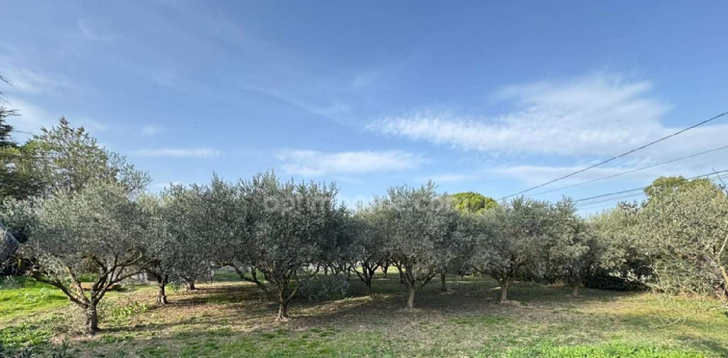  te koop huis Saint-Rémy-de-Provence Bouches-du-Rhône 3