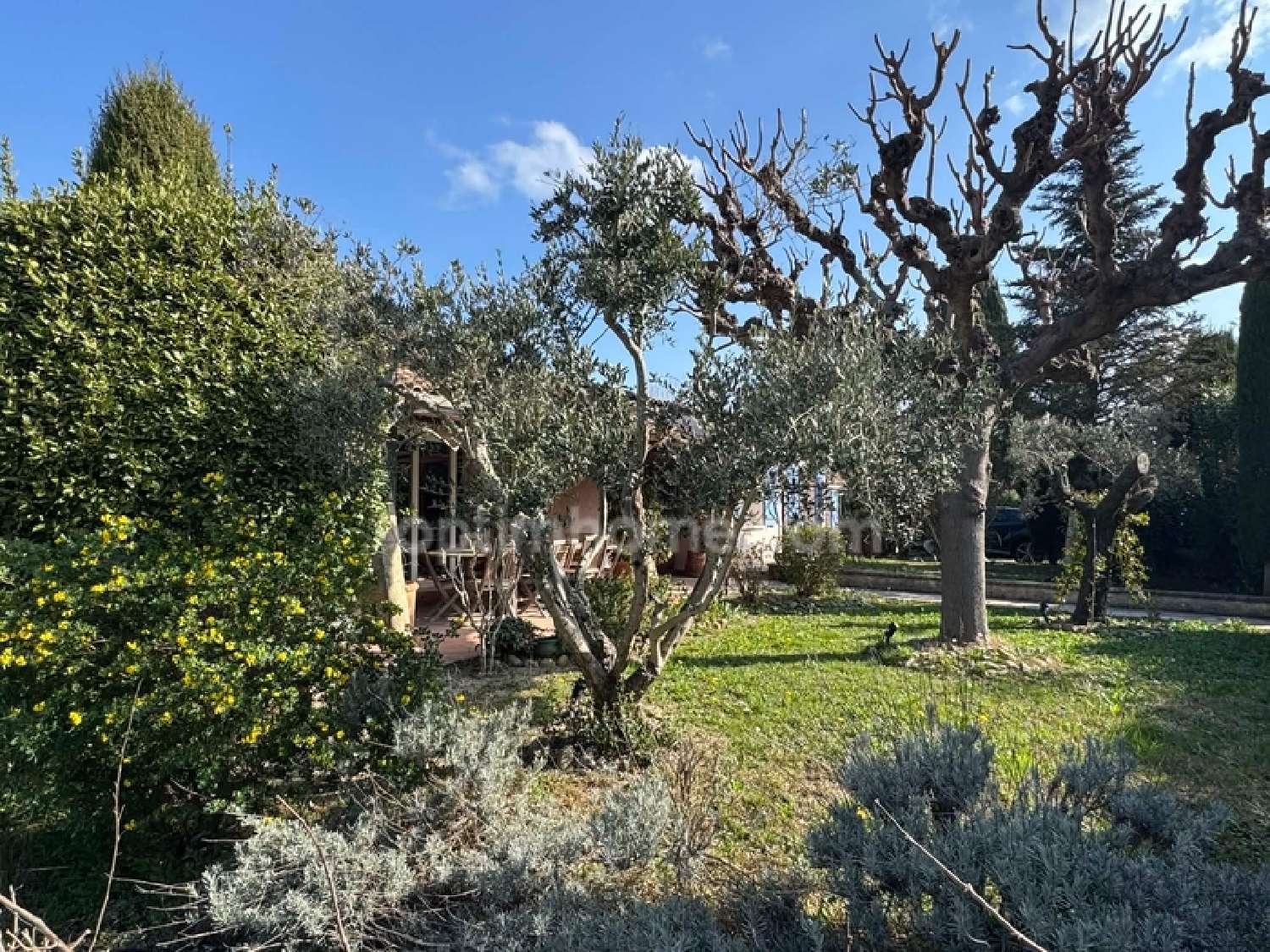  te koop huis Saint-Rémy-de-Provence Bouches-du-Rhône 1