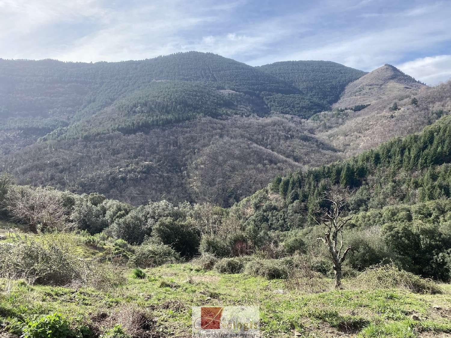  for sale house Saint-Roman-de-Codières Gard 2