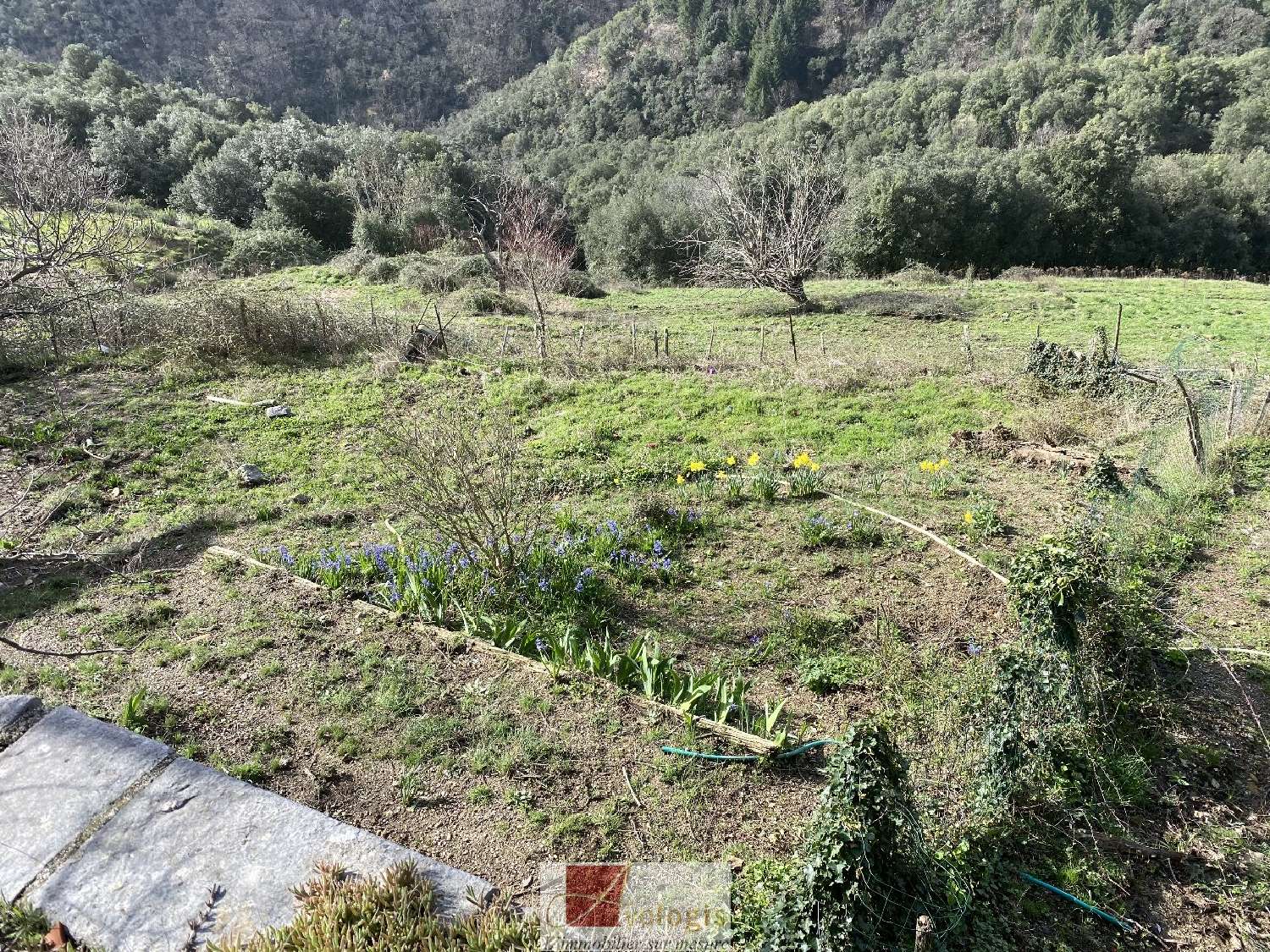  for sale house Saint-Roman-de-Codières Gard 6