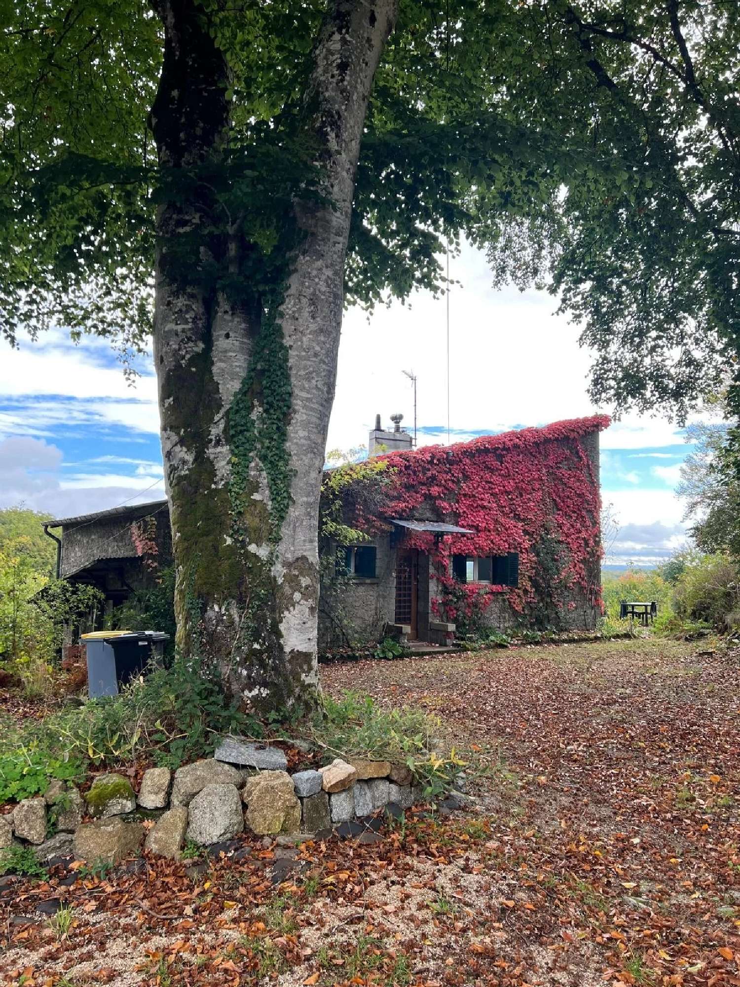  te koop huis Saint-Yrieix-les-Bois Creuse 3