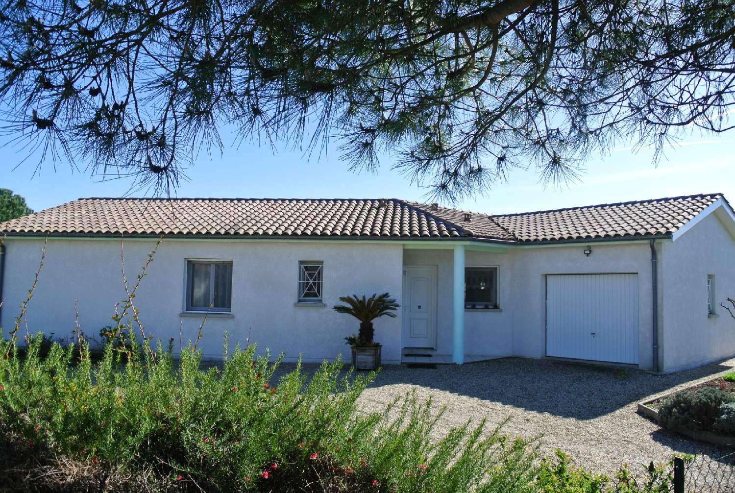  for sale house Sainte Bazeille Lot-et-Garonne 3