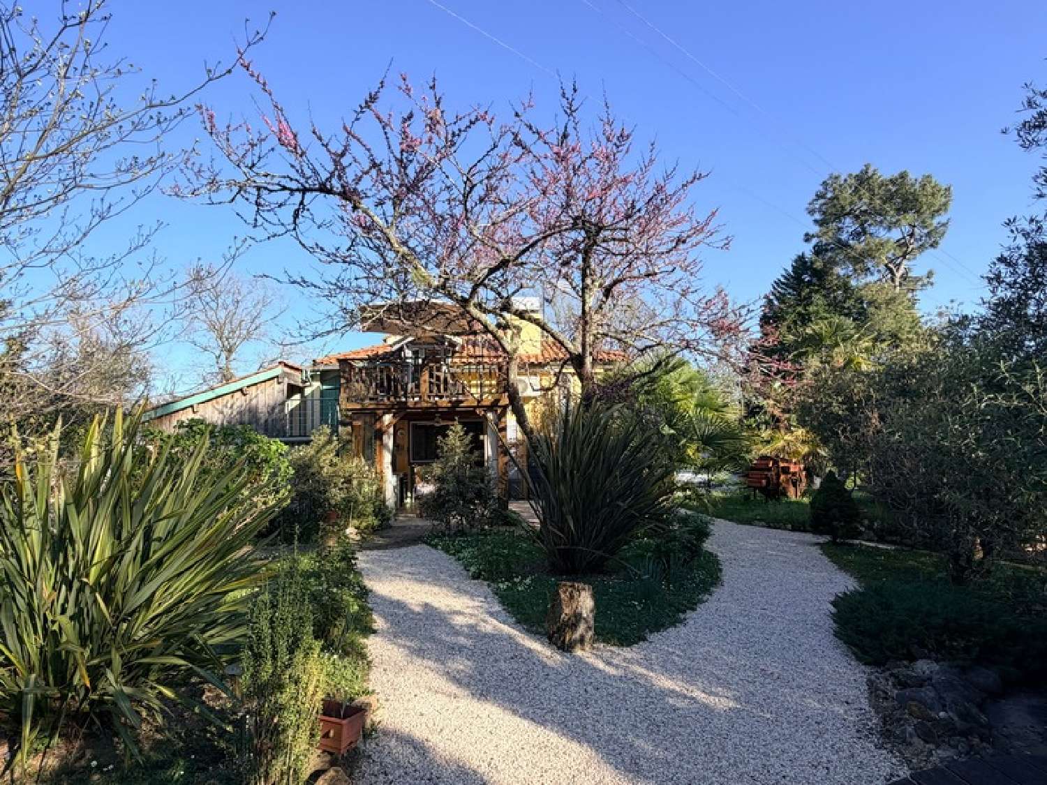 for sale house Sainte-Christie-d'Armagnac Gers 3