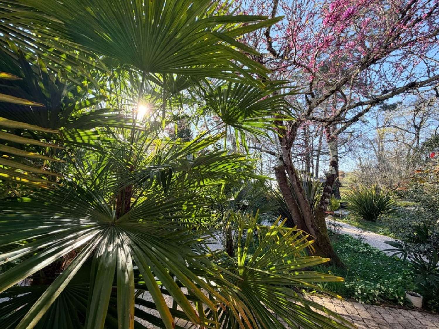 for sale house Sainte-Christie-d'Armagnac Gers 4