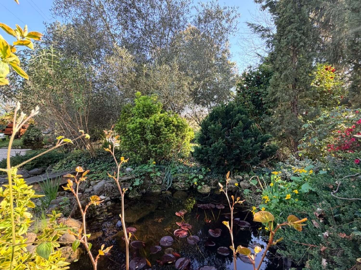 for sale house Sainte-Christie-d'Armagnac Gers 6