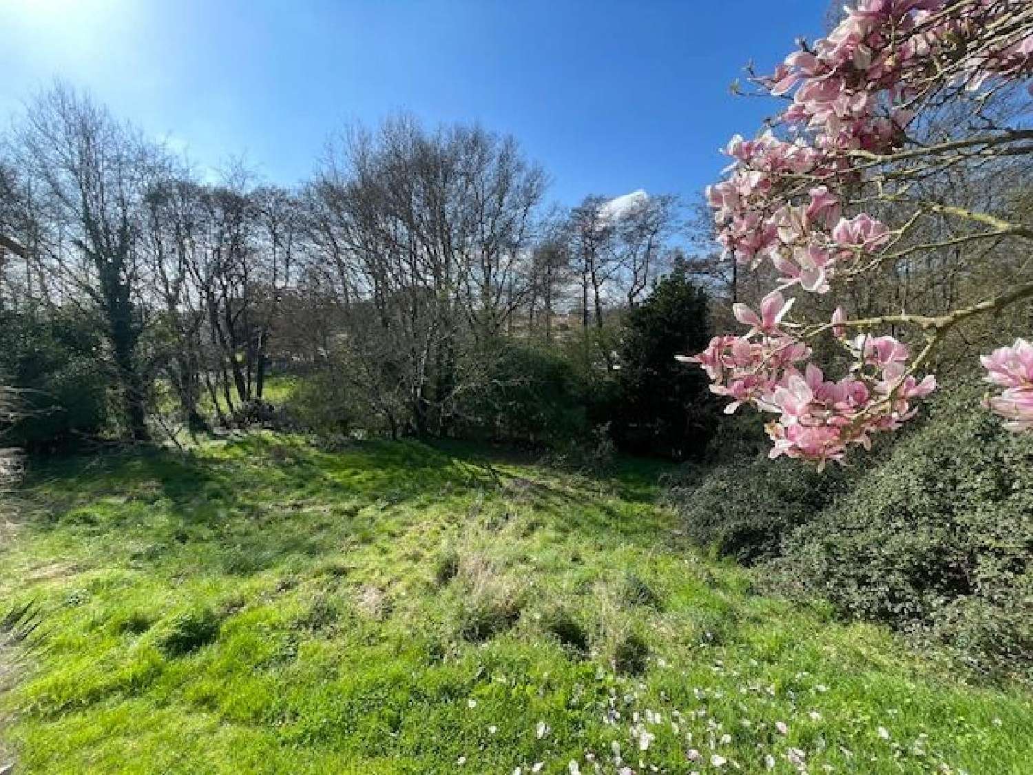  for sale house Sainte-Foy Vendée 4