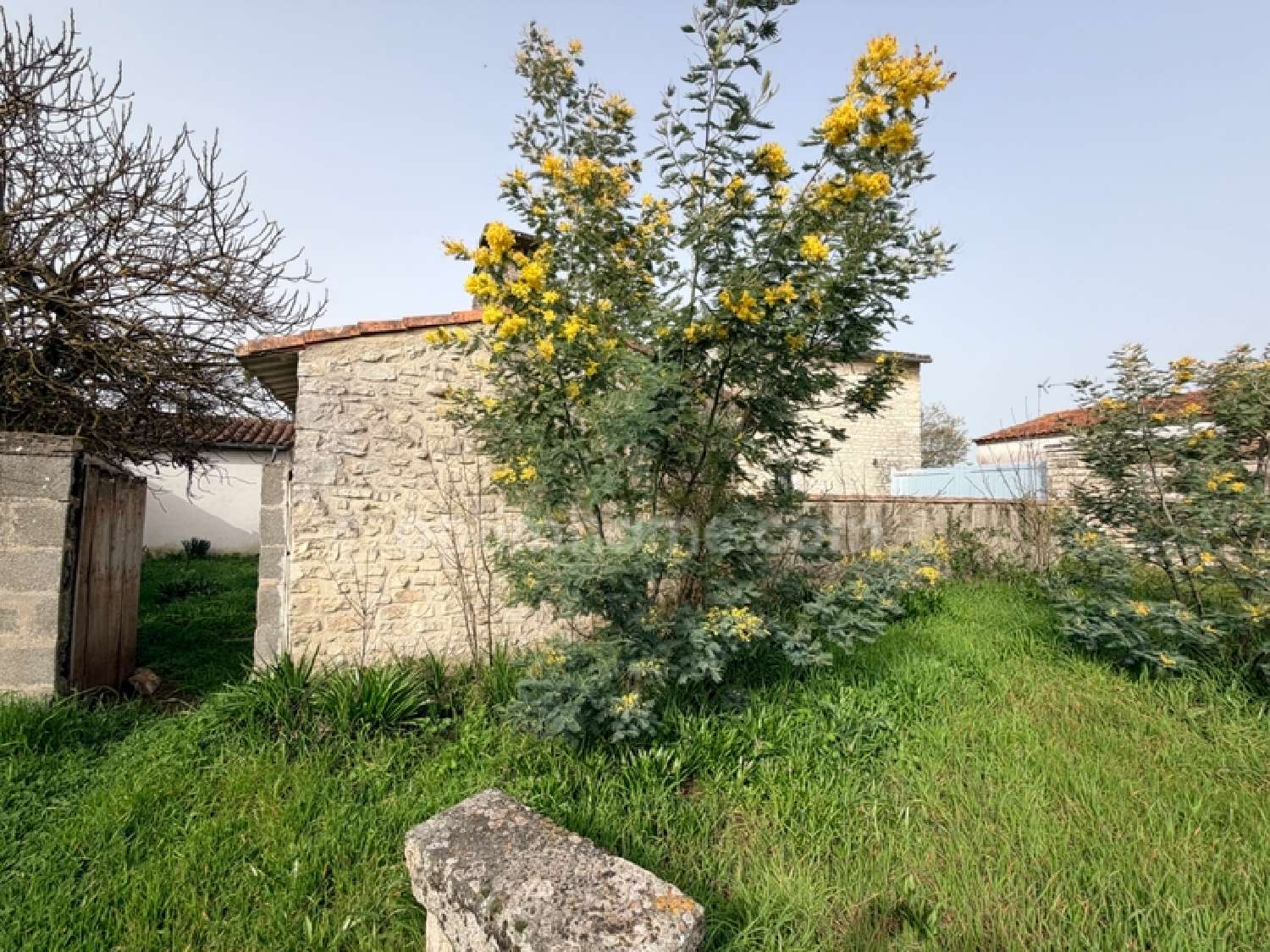  for sale house Sainte-Marie-de-Ré Charente-Maritime 3