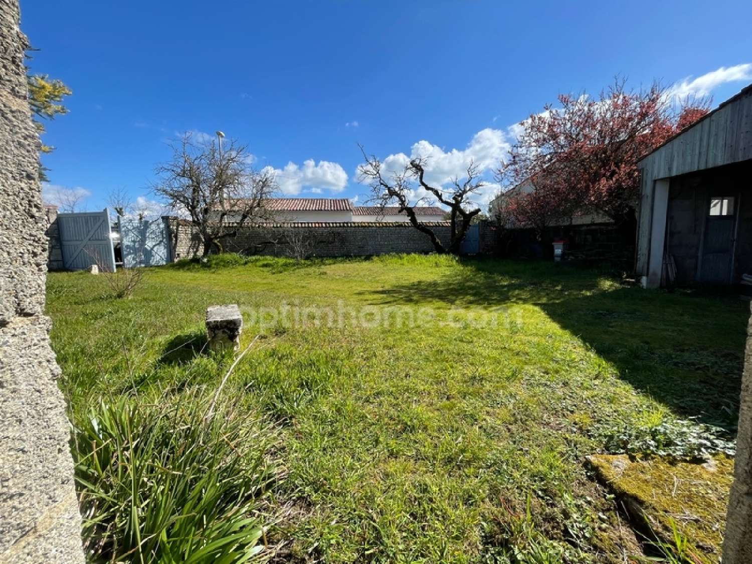  for sale house Sainte-Marie-de-Ré Charente-Maritime 4