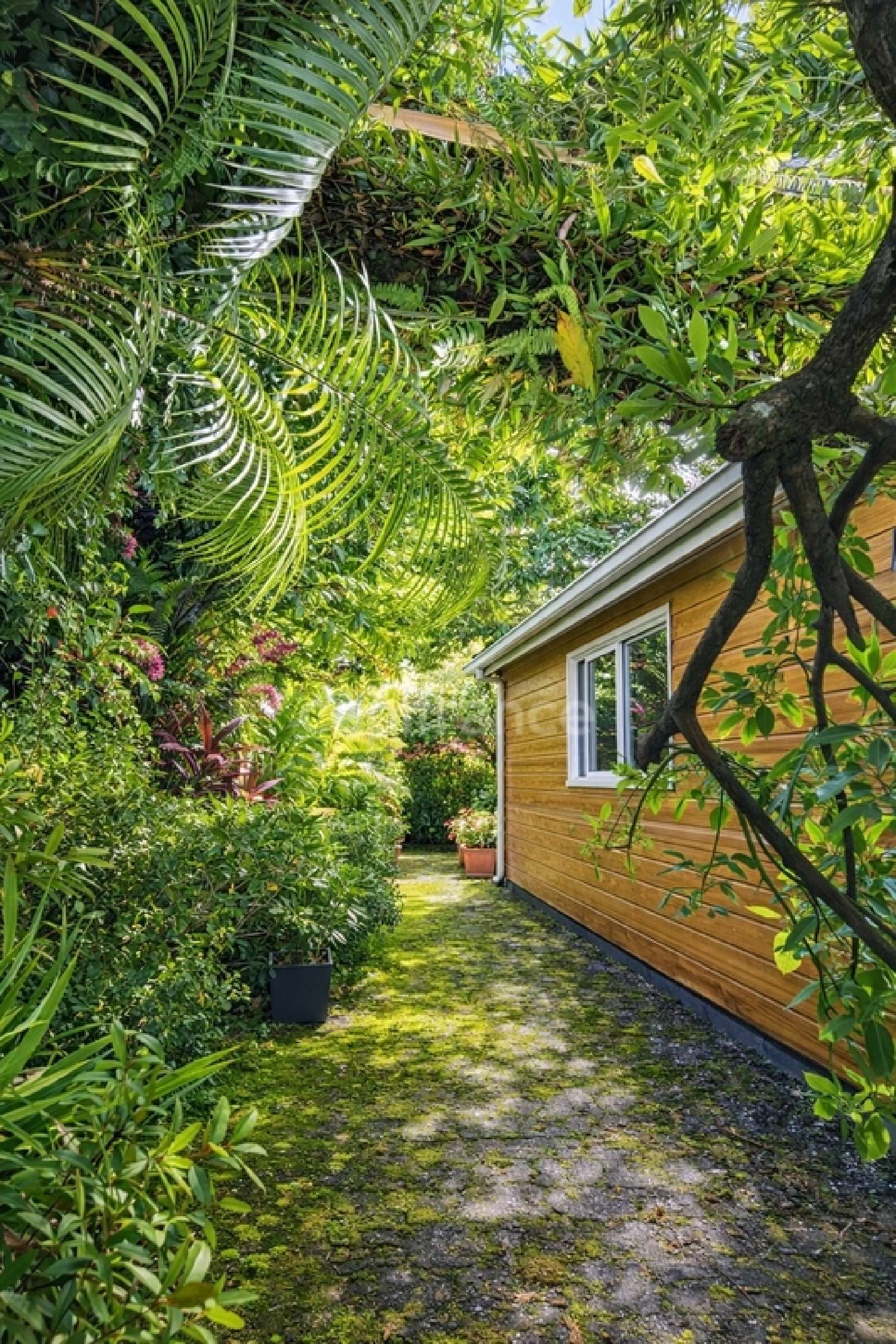  en venta casa Sainte-Rose La Réunion 3