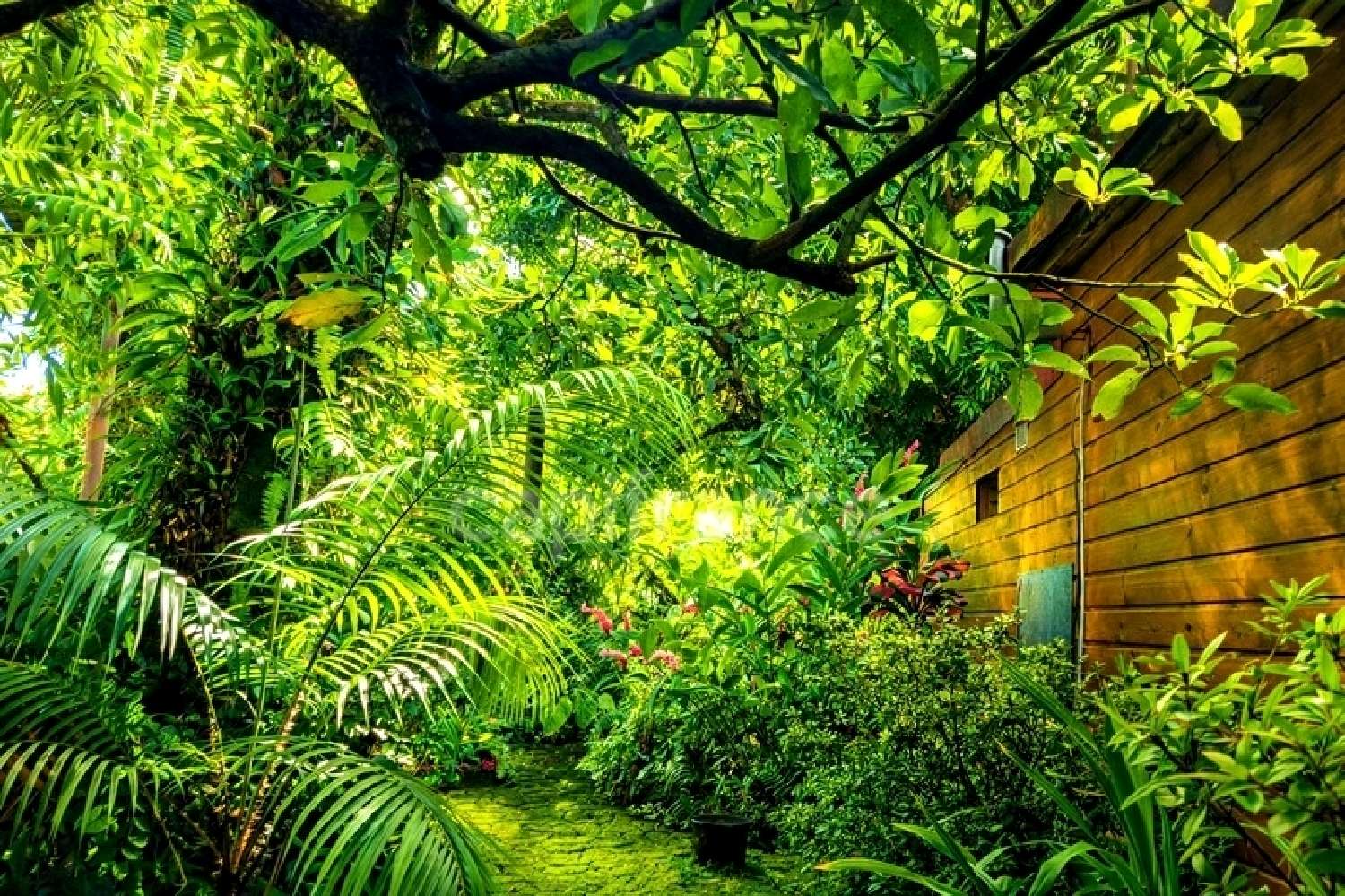  en venta casa Sainte-Rose La Réunion 1