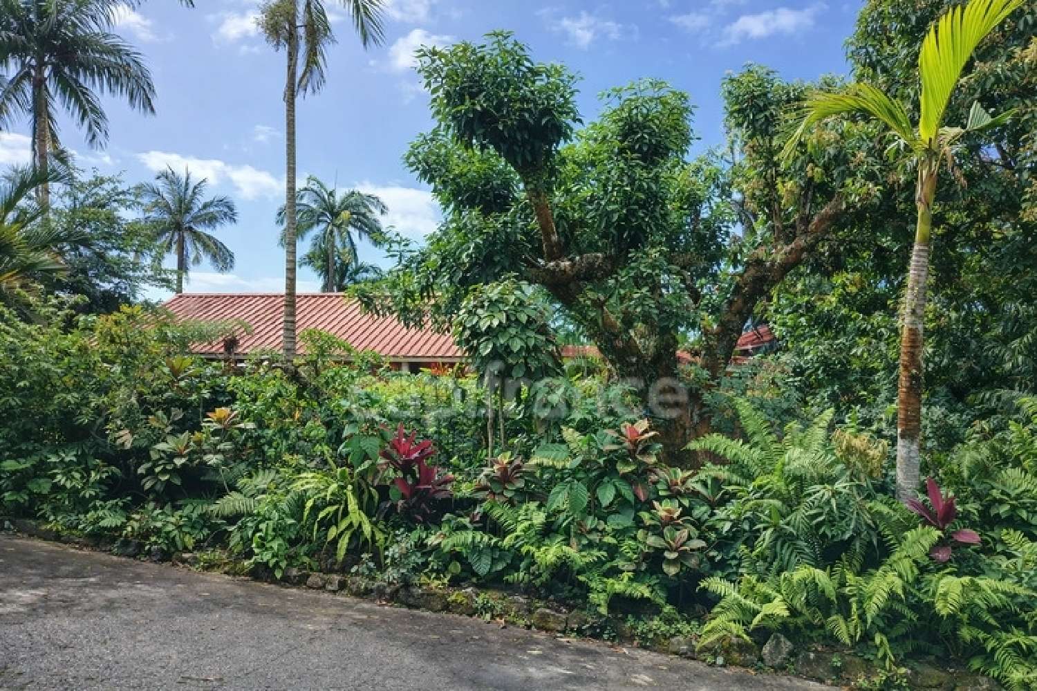  en venta casa Sainte-Rose La Réunion 8