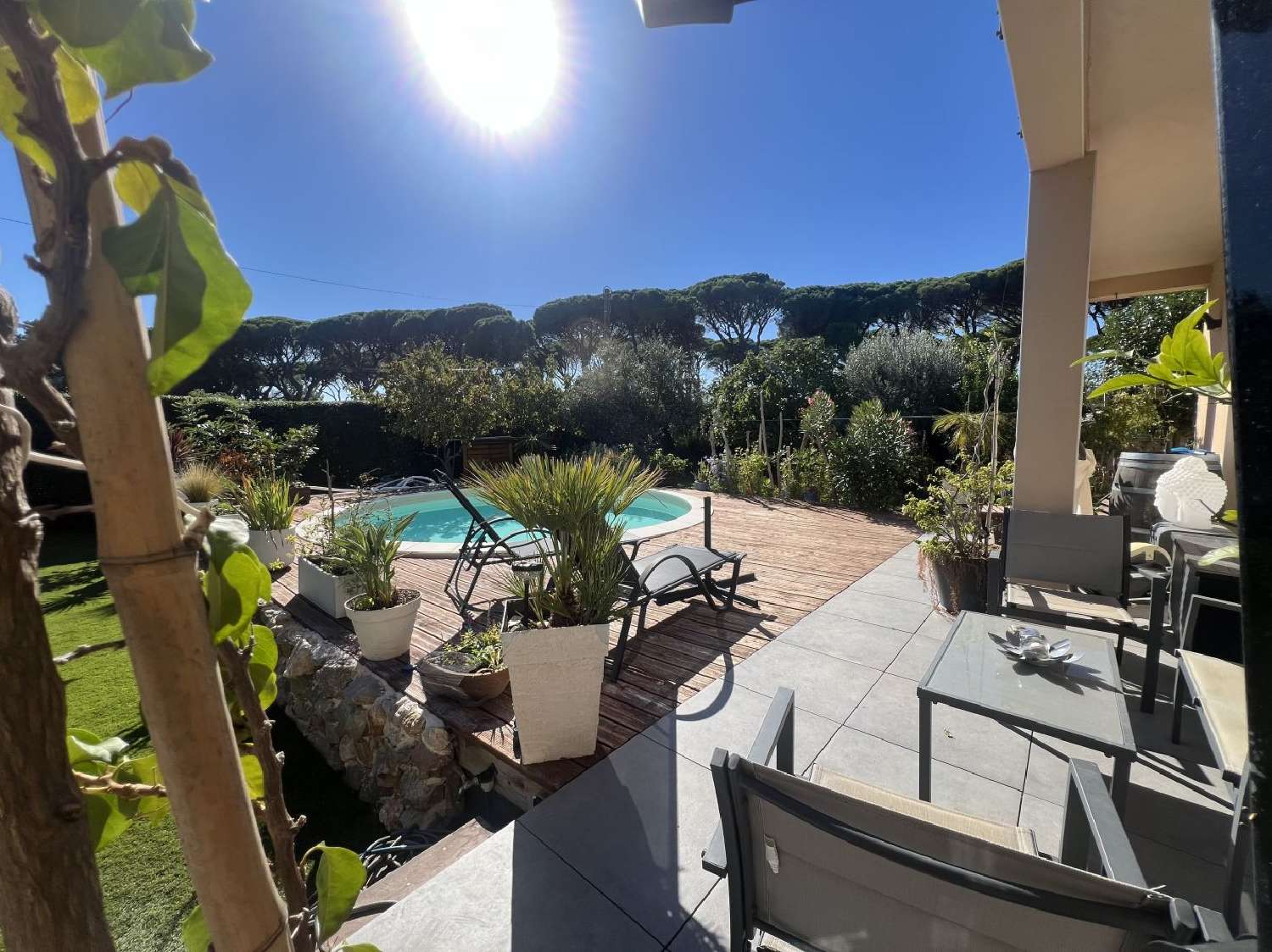  te koop huis Sallèles-d'Aude Aude 1