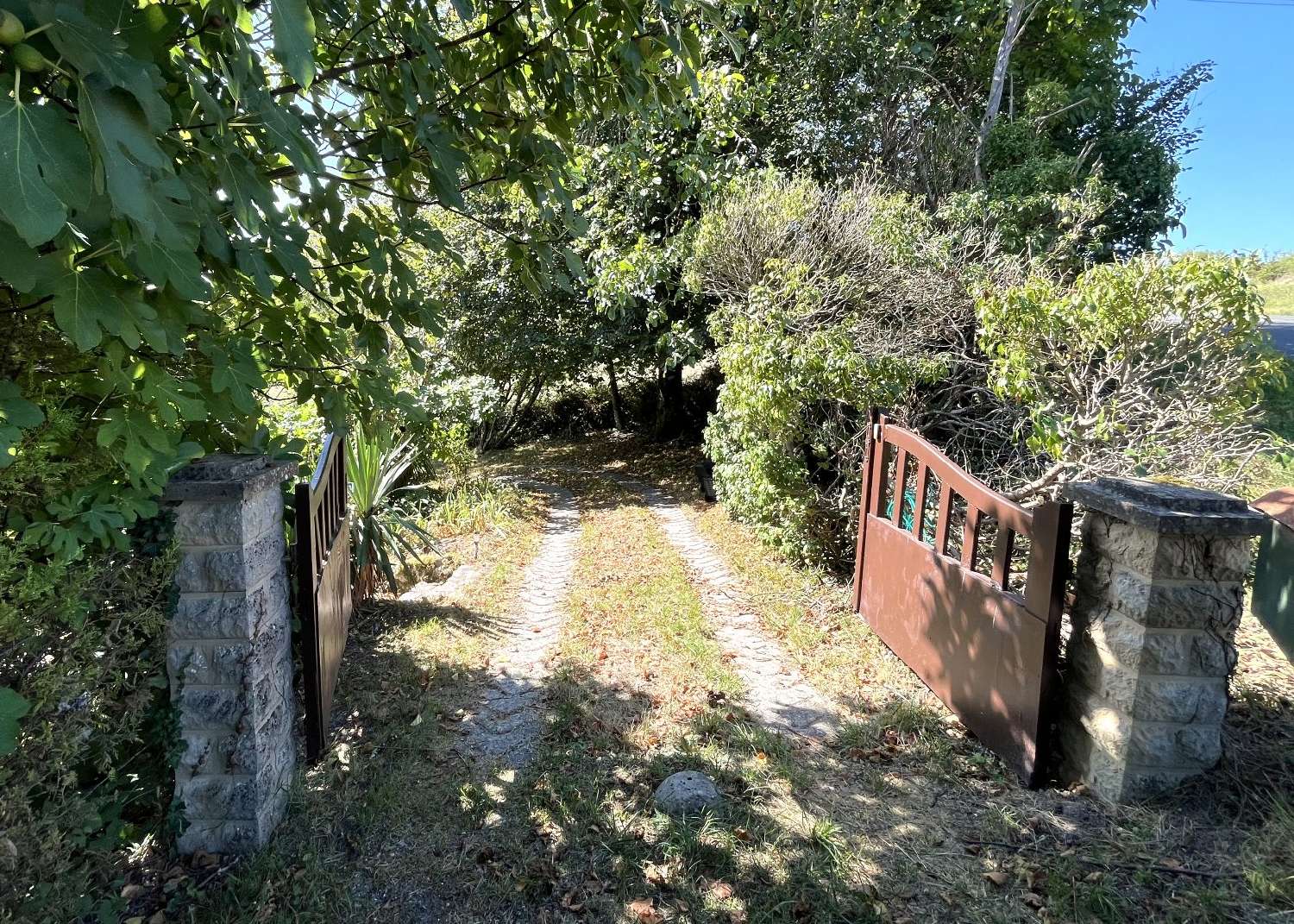  te koop huis Salles-Lavalette Charente 3