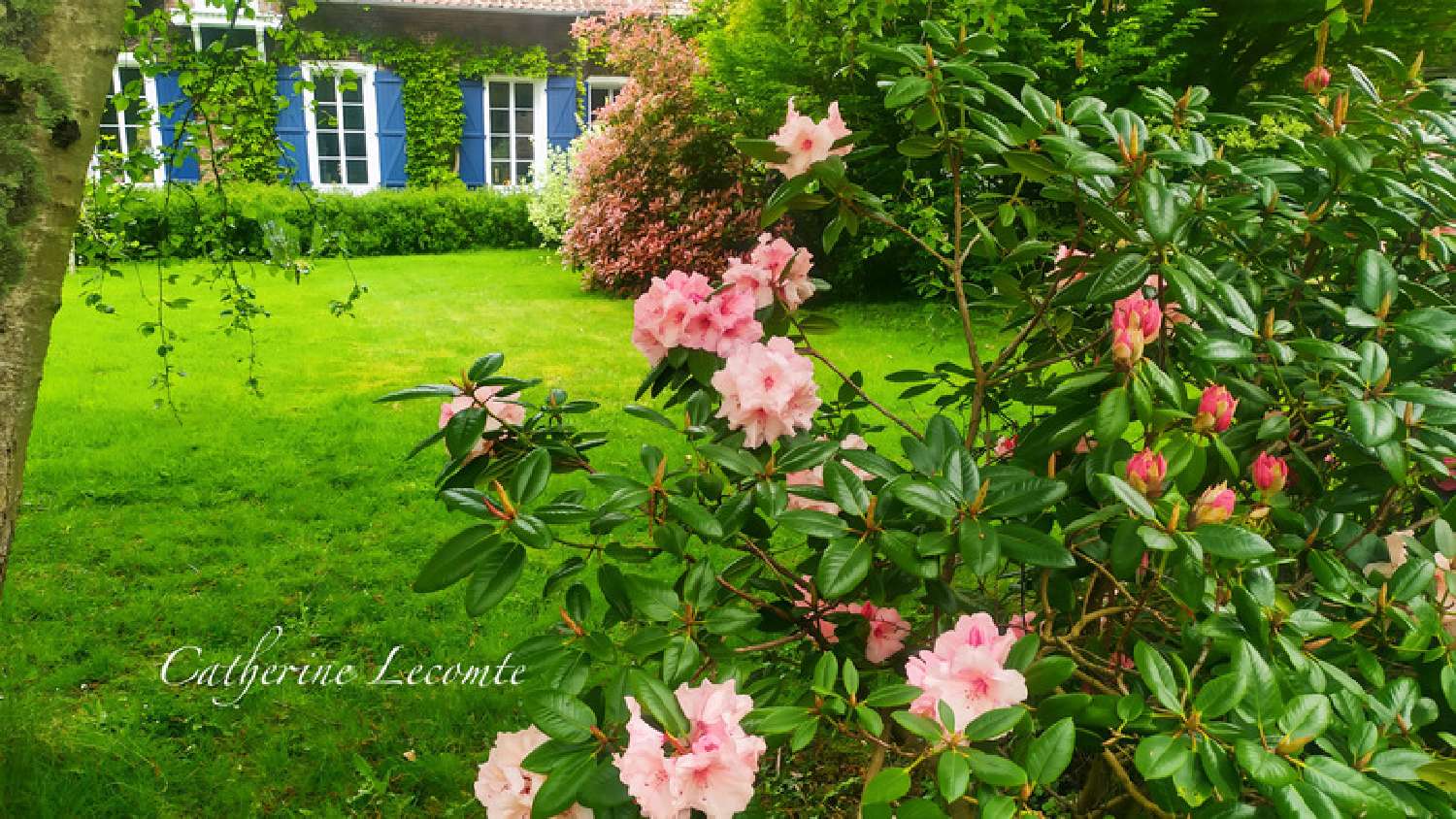  te koop huis Samer Pas-de-Calais 2