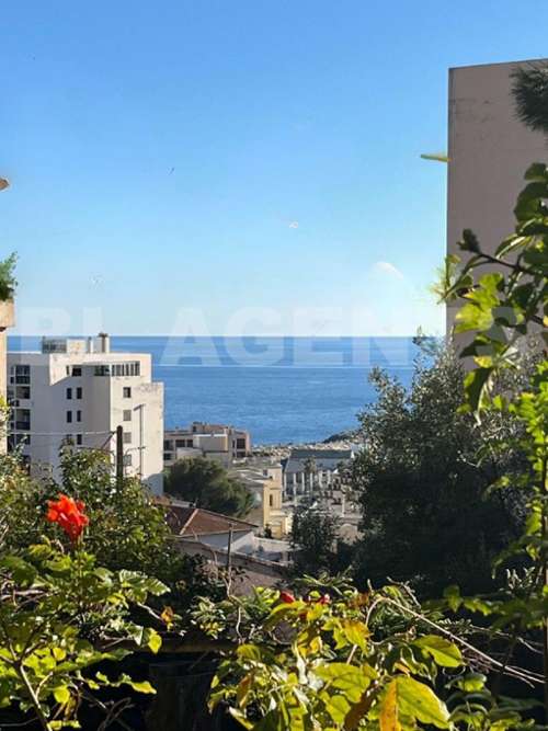 Sari-d'Orcino Corse-du-Sud huis foto 7295344