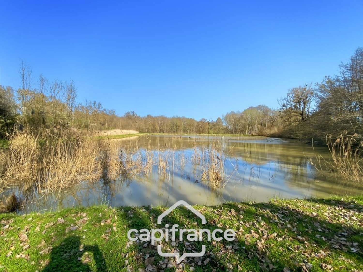 for sale house Savigny-sur-Seille Saône-et-Loire 2