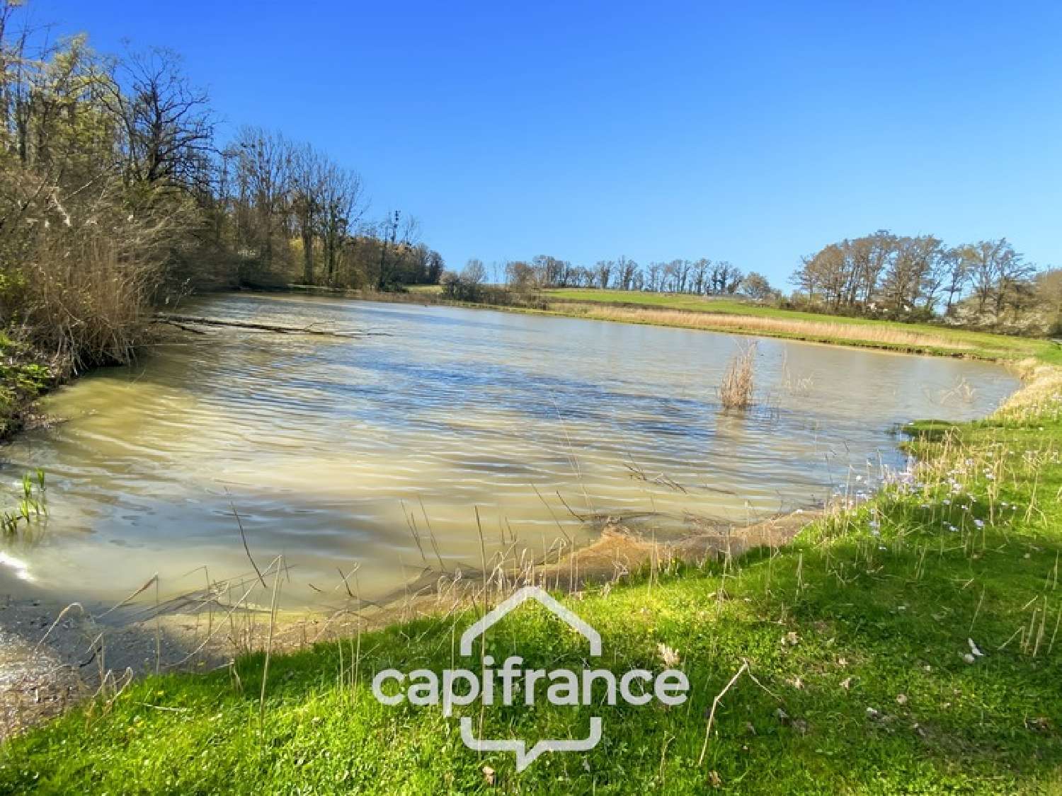 for sale house Savigny-sur-Seille Saône-et-Loire 4