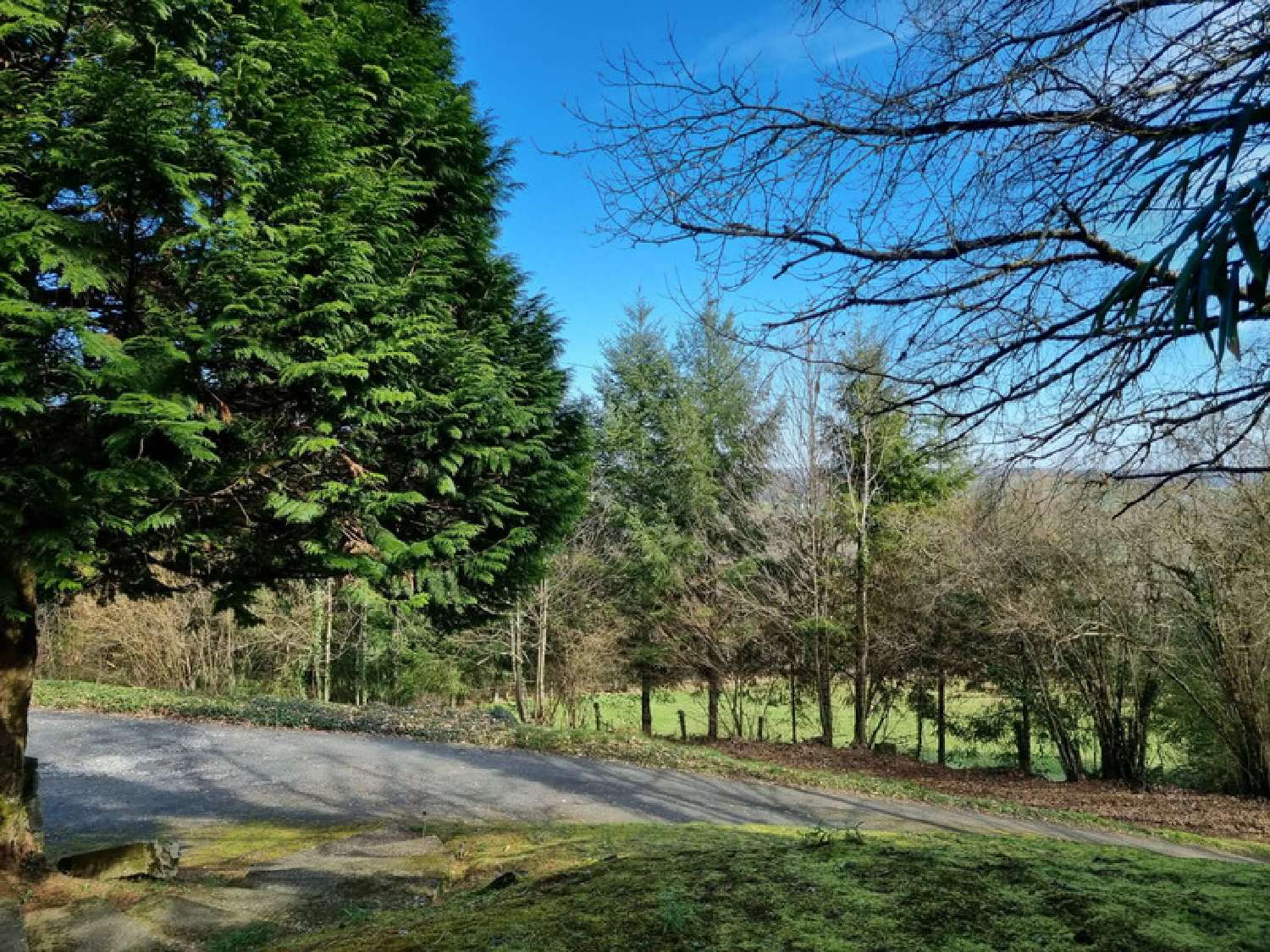  te koop huis Sérilhac Corrèze 3