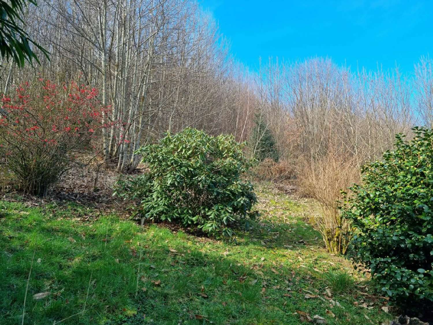  te koop huis Sérilhac Corrèze 5