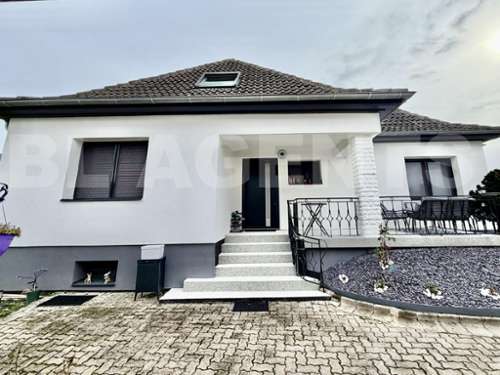 Sessenheim Bas-Rhin house foto 7286548