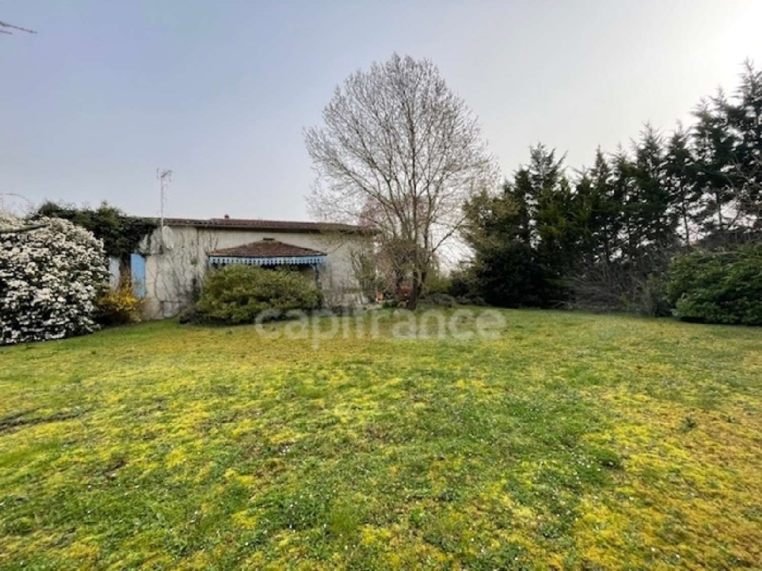 kaufen Haus Seyches Lot-et-Garonne 2