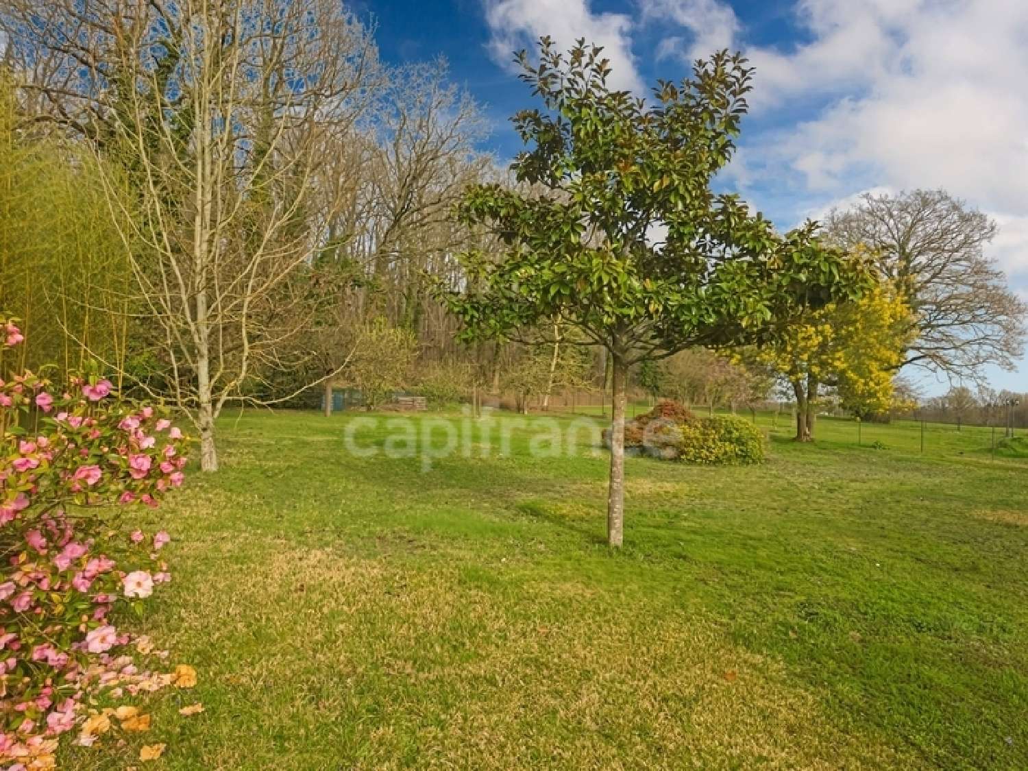  kaufen Haus Sillé-le-Philippe Sarthe 4